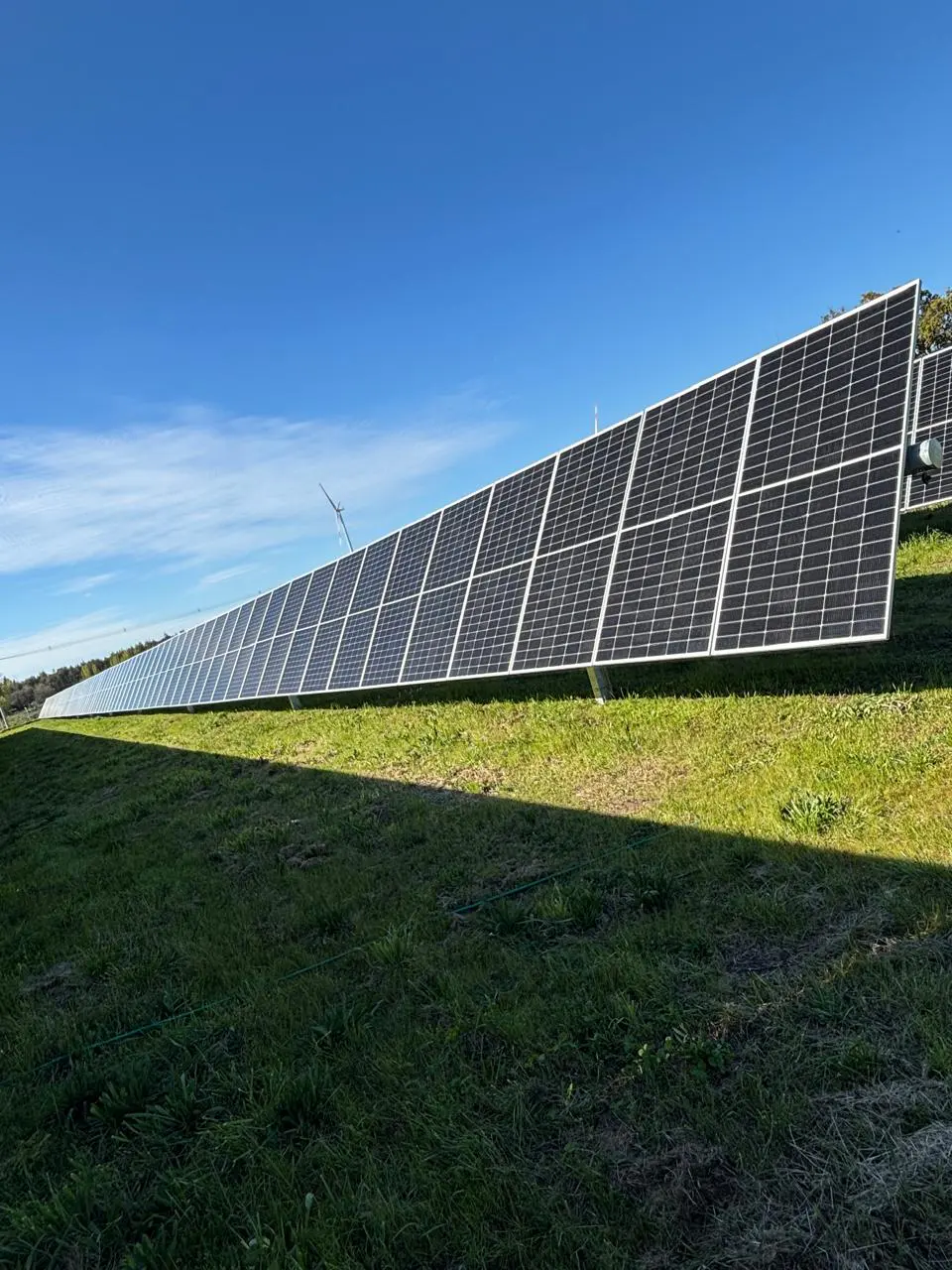 Instalación fotovoltaica sobre terreno con vegetación